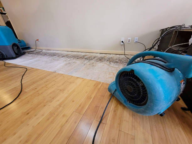 Professional Ceiling Water Damage Repair technician working in Fort Washington, MD